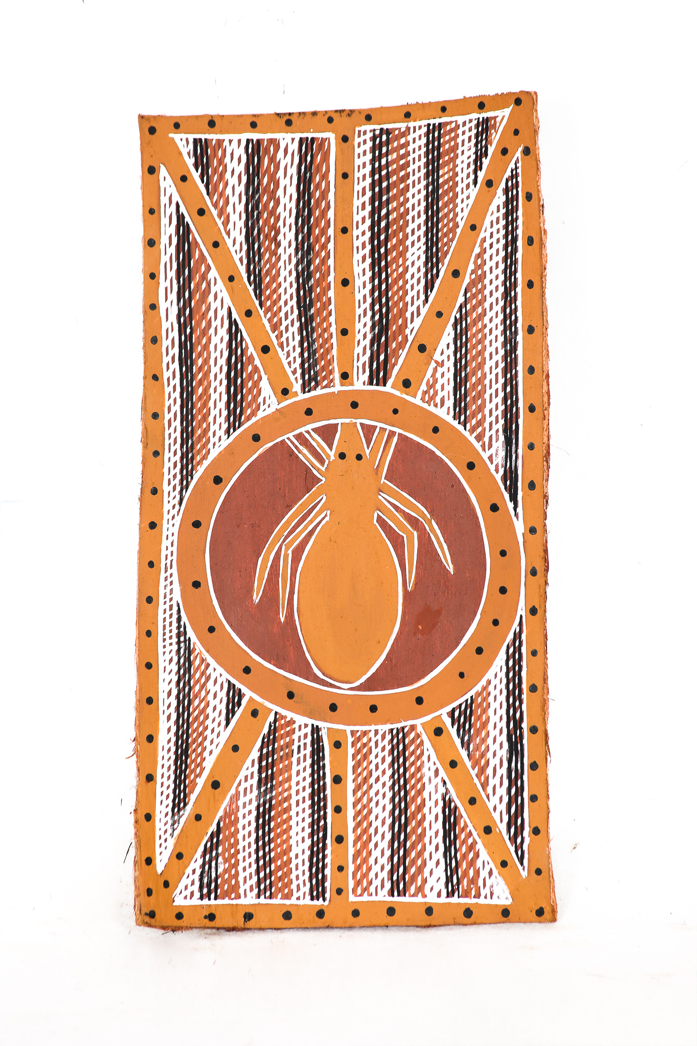 Gnarr (spider)