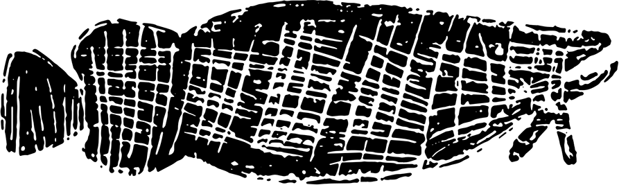 Maningrida Arts & Culture logo