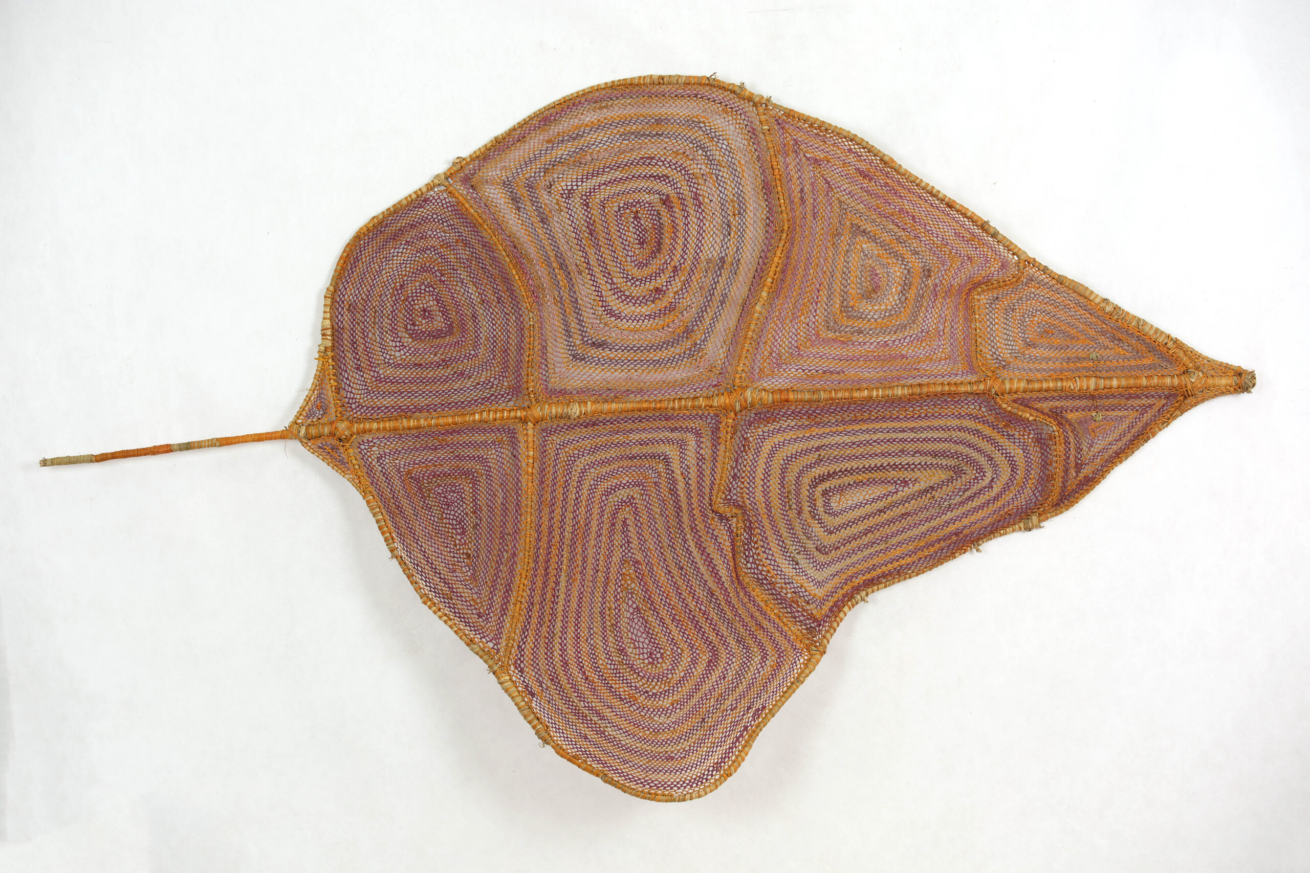 Nawarlah – Brown River Stingray