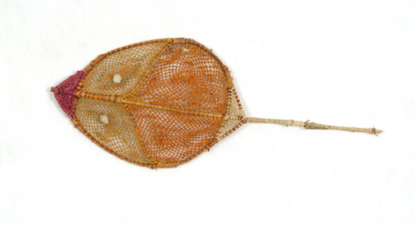 Nawarlah – Brown River Stingray