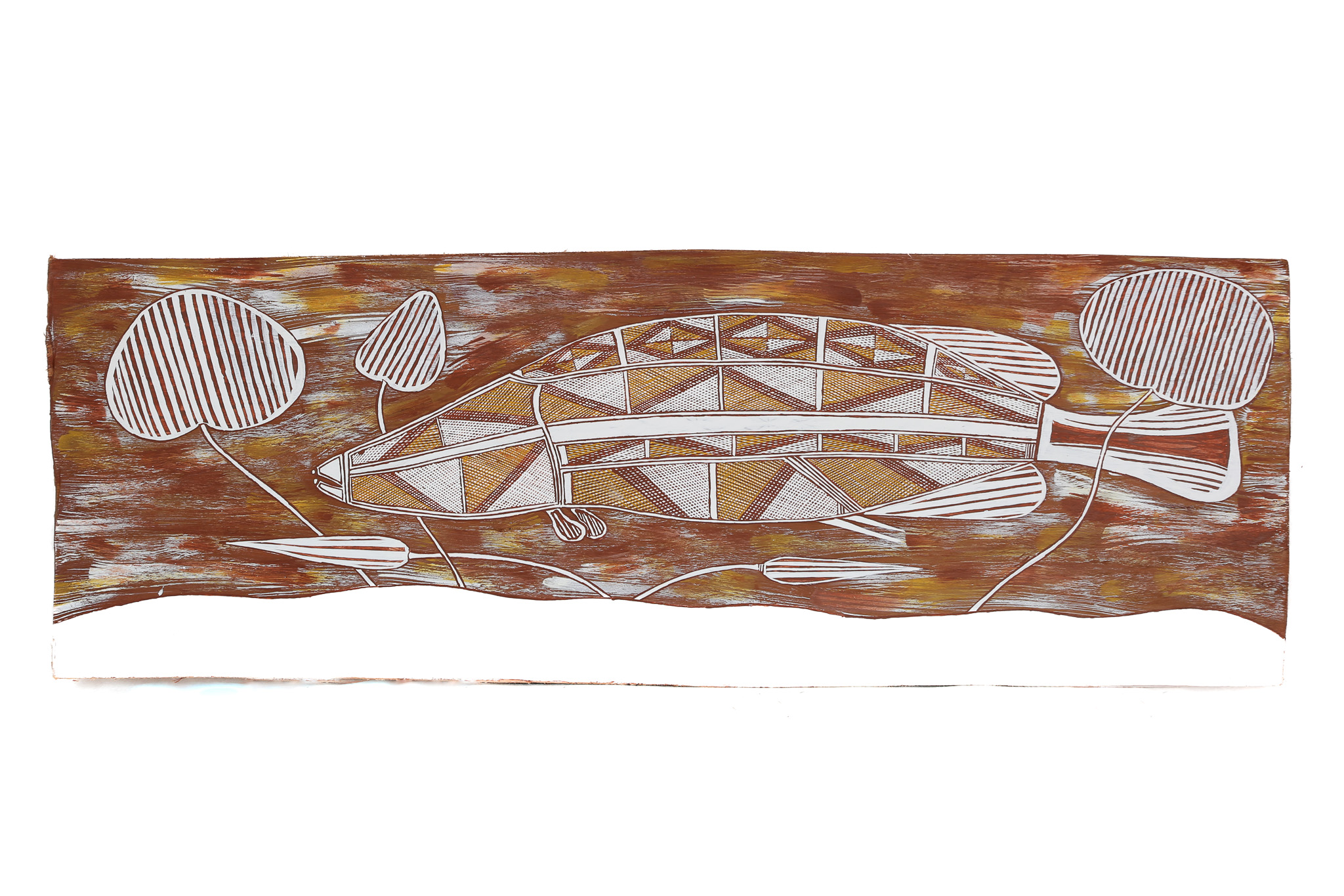 Birlmu or Namarnkorl (Barramundi) - Bark Painting - Marcus Cameron