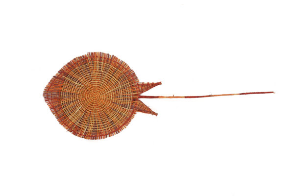 Berehl (Stingray)