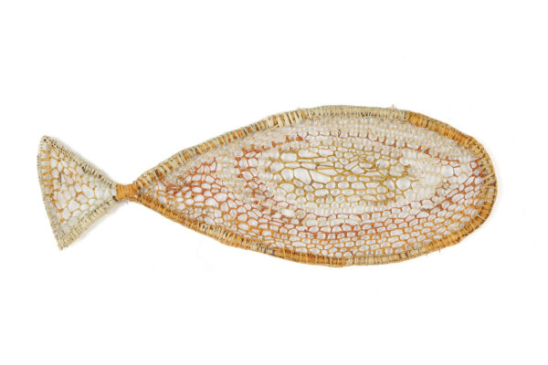 Rajarra (Barramundi)
